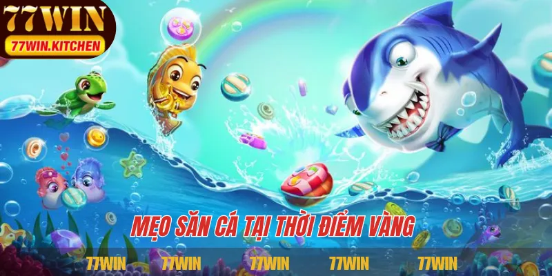 Mẹo săn cá tại thời điểm vàng